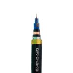 申易牌控制电缆KVVP2-22 0.5/0.75/1/1.5/2.5/4/6平方 屏蔽 铠装线缆 - 图片 3