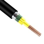 交联聚乙烯绝缘控制电缆KYJV22 1.0/1.5/2.5/4/6平方 钢带铠装 - 图片 2